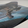 DC Comics: Batman Limited Edition Fan-Cel Art Print DC Comics: Batman Limited Edition Fan-Cel Art Print