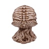 Nemesis Now Ltd Cthulhu - Cthulhu Skull Figurine Ornament 20cm Nemesis Now Ltd Cthulhu - Cthulhu Skull Figurine Ornament 20cm