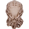 Nemesis Now Ltd Cthulhu - Cthulhu Skull Figurine Ornament 20cm Nemesis Now Ltd Cthulhu - Cthulhu Skull Figurine Ornament 20cm