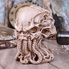 Nemesis Now Ltd Cthulhu - Cthulhu Skull Figurine Ornament 20cm Nemesis Now Ltd Cthulhu - Cthulhu Skull Figurine Ornament 20cm