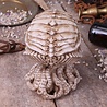 Nemesis Now Ltd Cthulhu - Cthulhu Skull Figurine Ornament 20cm Nemesis Now Ltd Cthulhu - Cthulhu Skull Figurine Ornament 20cm