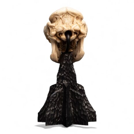 Weta Workshop Lord of the Rings Mini Statue Skull of a Cave Troll 21 cm Weta Workshop Lord of the Rings Mini Statue Skull of a Cave Troll 21 cm