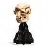 Weta Workshop Lord of the Rings Mini Statue Skull of a Cave Troll 21 cm Weta Workshop Lord of the Rings Mini Statue Skull of a Cave Troll 21 cm