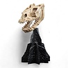 Weta Workshop Lord of the Rings Mini Statue Skull of a Fell Beast 21 cm Weta Workshop Lord of the Rings Mini Statue Skull of a Fell Beast 21 cm