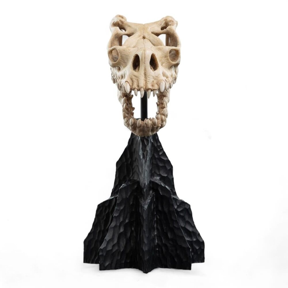 Weta Workshop Lord of the Rings Mini Statue Skull of a Fell Beast 21 cm Weta Workshop Lord of the Rings Mini Statue Skull of a Fell Beast 21 cm