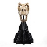 Weta Workshop Lord of the Rings Mini Statue Skull of a Fell Beast 21 cm Weta Workshop Lord of the Rings Mini Statue Skull of a Fell Beast 21 cm
