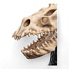 Weta Workshop Lord of the Rings Mini Statue Skull of a Fell Beast 21 cm Weta Workshop Lord of the Rings Mini Statue Skull of a Fell Beast 21 cm