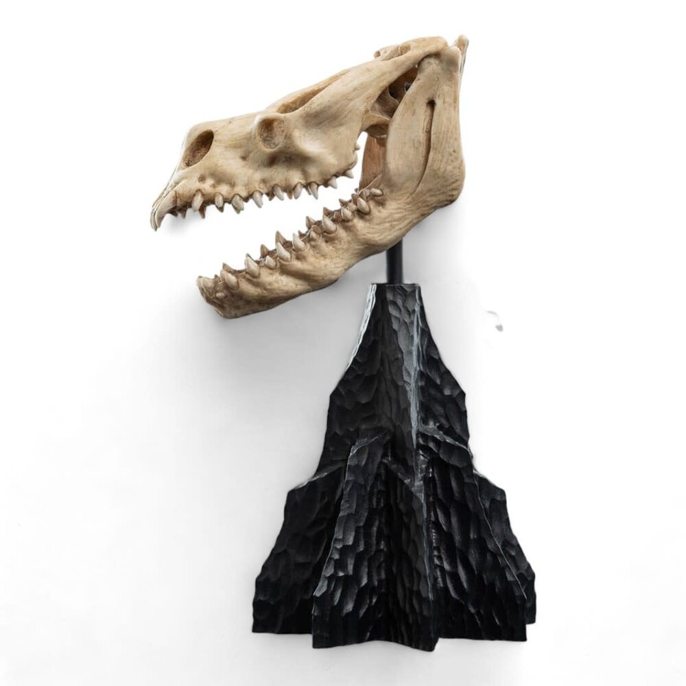 Weta Workshop Lord of the Rings Mini Statue Skull of a Fell Beast 21 cm Weta Workshop Lord of the Rings Mini Statue Skull of a Fell Beast 21 cm