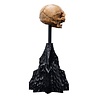 Weta Workshop Lord of the Rings Mini Statue Skull of Gollum 13 cm Weta Workshop Lord of the Rings Mini Statue Skull of Gollum 13 cm