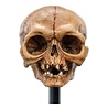 Weta Workshop Lord of the Rings Mini Statue Skull of Gollum 13 cm Weta Workshop Lord of the Rings Mini Statue Skull of Gollum 13 cm