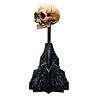 Weta Workshop Lord of the Rings Mini Statue Skull of Gollum 13 cm Weta Workshop Lord of the Rings Mini Statue Skull of Gollum 13 cm