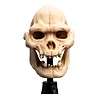 Weta Workshop Lord of the Rings Mini Statue Skull of Lurtz 14 cm Weta Workshop Lord of the Rings Mini Statue Skull of Lurtz 14 cm
