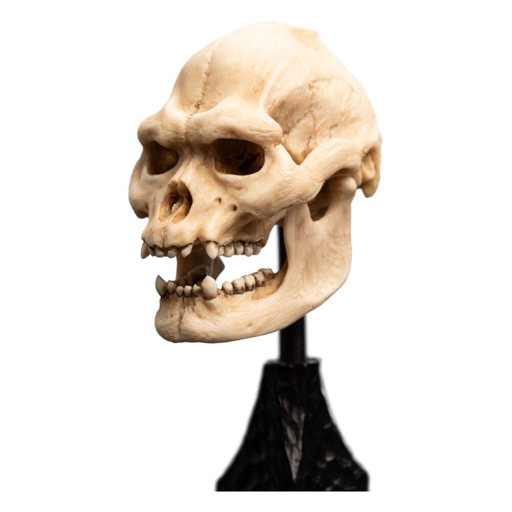 Weta Workshop Lord of the Rings Mini Statue Skull of Lurtz 14 cm Weta Workshop Lord of the Rings Mini Statue Skull of Lurtz 14 cm