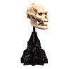 Weta Workshop Lord of the Rings Mini Statue Skull of Lurtz 14 cm Weta Workshop Lord of the Rings Mini Statue Skull of Lurtz 14 cm