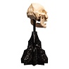 Weta Workshop Lord of the Rings Mini Statue Skull of Lurtz 14 cm Weta Workshop Lord of the Rings Mini Statue Skull of Lurtz 14 cm