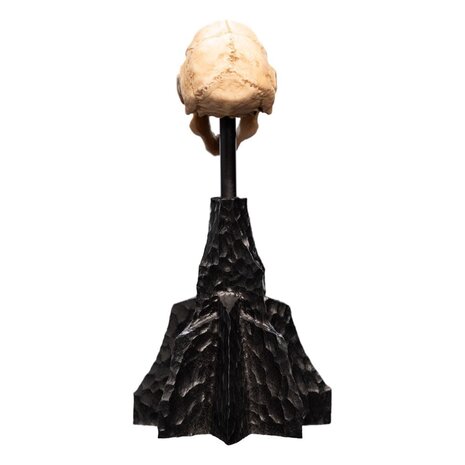 Weta Workshop Lord of the Rings Mini Statue Skull of a Moria Orc 13 cm Weta Workshop Lord of the Rings Mini Statue Skull of a Moria Orc 13 cm