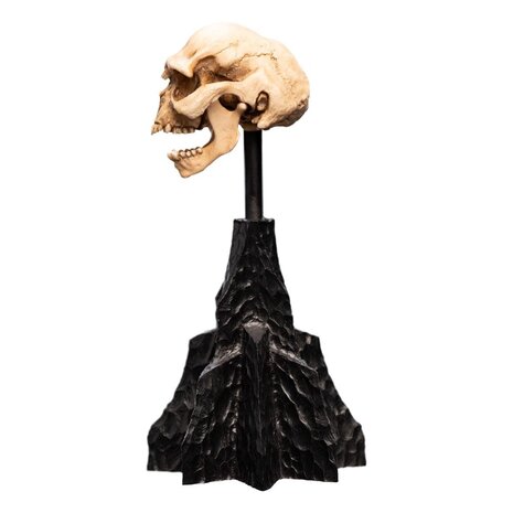 Weta Workshop Lord of the Rings Mini Statue Skull of a Moria Orc 13 cm Weta Workshop Lord of the Rings Mini Statue Skull of a Moria Orc 13 cm