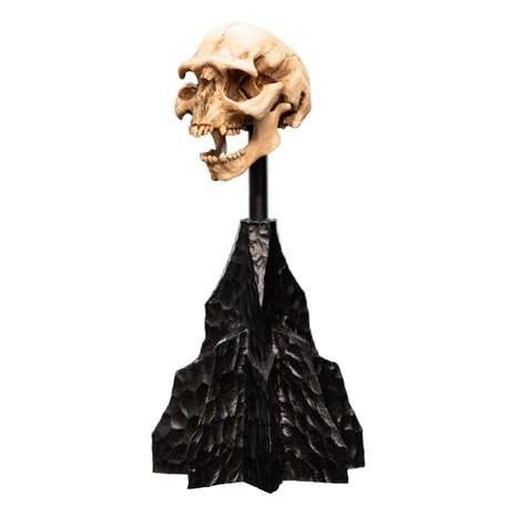 Weta Workshop Lord of the Rings Mini Statue Skull of a Moria Orc 13 cm Weta Workshop Lord of the Rings Mini Statue Skull of a Moria Orc 13 cm