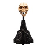 Weta Workshop Lord of the Rings Mini Statue Skull of a Moria Orc 13 cm Weta Workshop Lord of the Rings Mini Statue Skull of a Moria Orc 13 cm