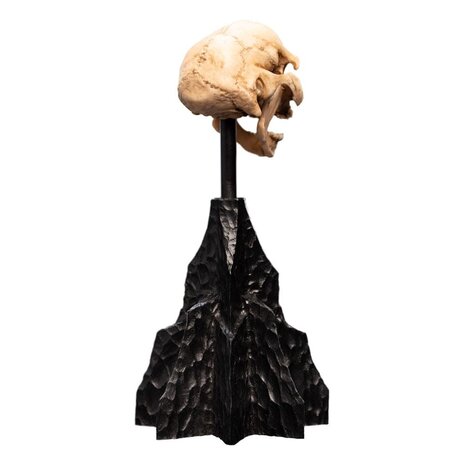 Weta Workshop Lord of the Rings Mini Statue Skull of a Moria Orc 13 cm Weta Workshop Lord of the Rings Mini Statue Skull of a Moria Orc 13 cm