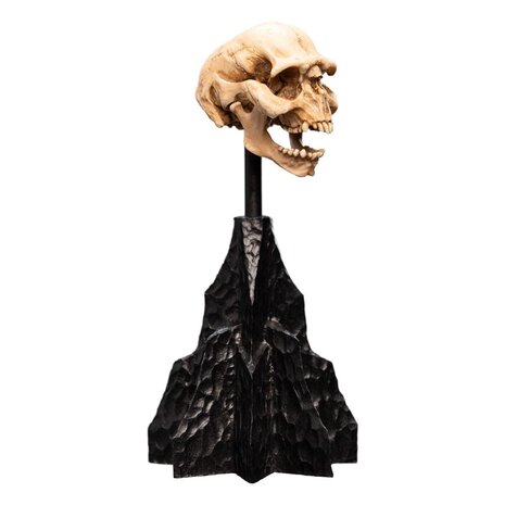 Weta Workshop Lord of the Rings Mini Statue Skull of a Moria Orc 13 cm Weta Workshop Lord of the Rings Mini Statue Skull of a Moria Orc 13 cm