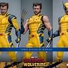 Deadpool & Wolverine Movie Masterpiece Action Figure 1/6 Wolverine (Deluxe Version) 31 cm Deadpool & Wolverine Movie Masterpiece Action Figure 1/6 Wolverine (Deluxe Version) 31 cm