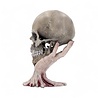 Nemesis Now Ltd Metallica - Sad But True Skull 22cm Nemesis Now Ltd Metallica - Sad But True Skull 22cm