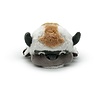 Youtooz Collectibles Avatar: The Last Airbender Plush Figure Appa Shoulder Rider 15 cm Youtooz Collectibles Avatar: The Last Airbender Plush Figure Appa Shoulder Rider 15 cm