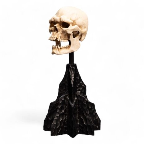 Weta Workshop Lord of the Rings Mini Statue Skull of a Mordor Orc 14 cm Weta Workshop Lord of the Rings Mini Statue Skull of a Mordor Orc 14 cm