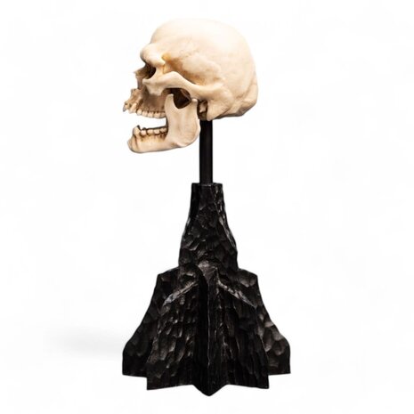 Weta Workshop Lord of the Rings Mini Statue Skull of a Mordor Orc 14 cm Weta Workshop Lord of the Rings Mini Statue Skull of a Mordor Orc 14 cm