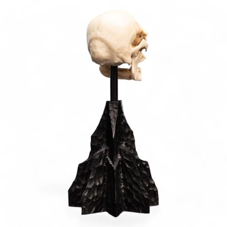 Weta Workshop Lord of the Rings Mini Statue Skull of a Mordor Orc 14 cm Weta Workshop Lord of the Rings Mini Statue Skull of a Mordor Orc 14 cm
