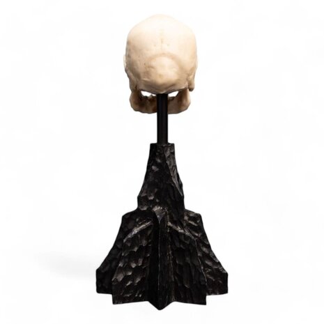 Weta Workshop Lord of the Rings Mini Statue Skull of a Mordor Orc 14 cm Weta Workshop Lord of the Rings Mini Statue Skull of a Mordor Orc 14 cm