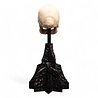 Weta Workshop Lord of the Rings Mini Statue Skull of a Mordor Orc 14 cm Weta Workshop Lord of the Rings Mini Statue Skull of a Mordor Orc 14 cm