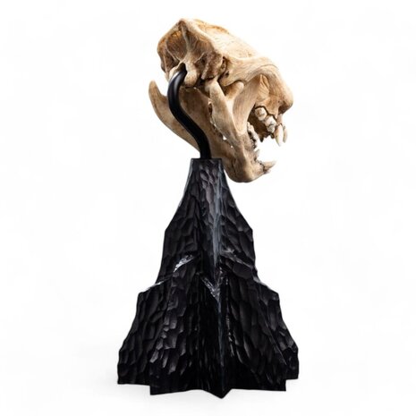 Weta Workshop Lord of the Rings Mini Statue Skull of a Warg 20 cm Weta Workshop Lord of the Rings Mini Statue Skull of a Warg 20 cm