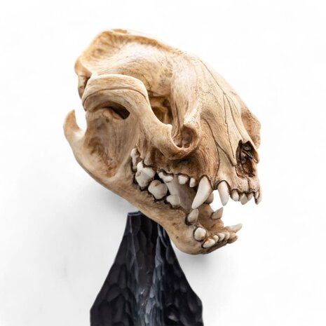 Weta Workshop Lord of the Rings Mini Statue Skull of a Warg 20 cm Weta Workshop Lord of the Rings Mini Statue Skull of a Warg 20 cm