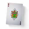 Theory11 Teenage Mutant Ninja Turtles Playing Cards Theory11 Teenage Mutant Ninja Turtles Playing Cards