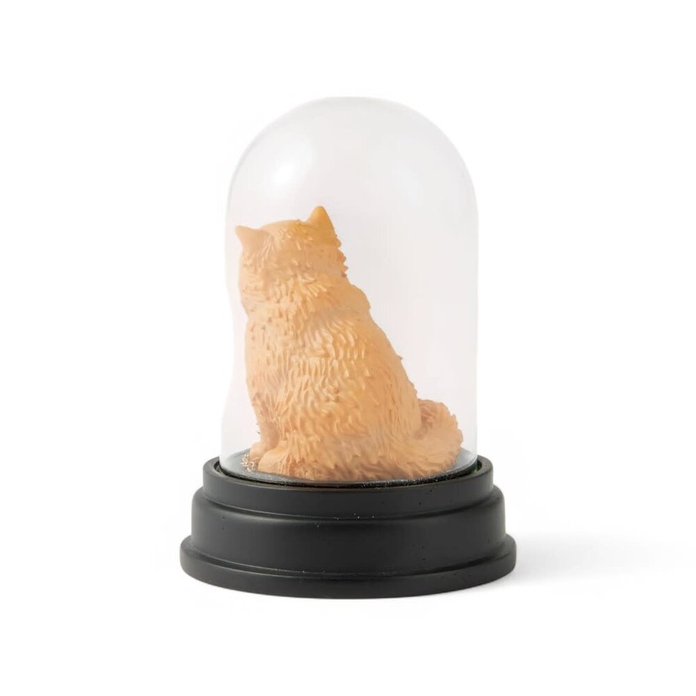 enesco Crookshanks Curiosity Cloche enesco Crookshanks Curiosity Cloche