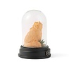 enesco Crookshanks Curiosity Cloche enesco Crookshanks Curiosity Cloche