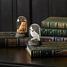enesco Crookshanks Curiosity Cloche enesco Crookshanks Curiosity Cloche