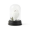 enesco Hedwig Curiosity Cloche enesco Hedwig Curiosity Cloche