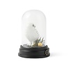 enesco Hedwig Curiosity Cloche enesco Hedwig Curiosity Cloche