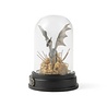 enesco Thestral Curiosity Cloche enesco Thestral Curiosity Cloche