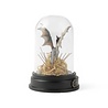 enesco Thestral Curiosity Cloche enesco Thestral Curiosity Cloche