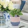Disney Home Disney Stitch Planter Disney Home Disney Stitch Planter