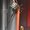 NECA Alien: Romulus Action Figure Ultimate Xenomorph XX121 NECA Alien: Romulus Action Figure Ultimate Xenomorph XX121