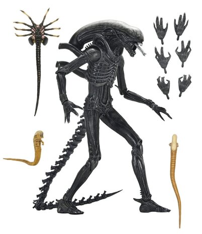 NECA Alien: Romulus Action Figure Ultimate Xenomorph XX121 NECA Alien: Romulus Action Figure Ultimate Xenomorph XX121
