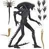 NECA Alien: Romulus Action Figure Ultimate Xenomorph XX121 NECA Alien: Romulus Action Figure Ultimate Xenomorph XX121