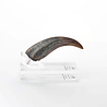 Elite Creature Collectibles Jurassic Park ECC Elite Creature Line Statue Velociraptor Hand Claw Prop Elite Creature Collectibles Jurassic Park ECC Elite Creature Line Statue Velociraptor Hand Claw Prop