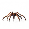 Hiya Toys Godzilla x Kong The New Empire Exquisite Basic Action Figure Scylla Hiya Toys Godzilla x Kong The New Empire Exquisite Basic Action Figure Scylla