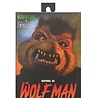 NECA Universal Monsters x Teenage Mutant Ninja Turtles Action Figure Ultimate Raphael as The Wolfman NECA Universal Monsters x Teenage Mutant Ninja Turtles Action Figure Ultimate Raphael as The Wolfman